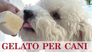 GELATI PER CANI e non solo! ( dolci) 2C+K