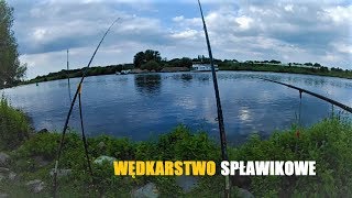 Wędkarstwo rzeczne | Wędkarstwo Spławikowe | Wyprawa do Holandii nad rzekę Maas