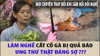 Chùa Hoằng Pháp | QUẢ BÁO ĐÁNG SỢ của người làm nghề GIẾT GÀ, mọi chuyện thay đổi khi SÁM HỐI