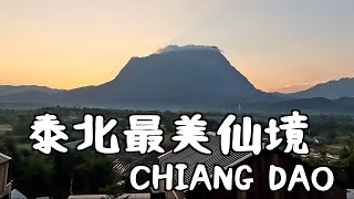 泰北最美仙境-清道山❗️Moutain View Cafe必去🙌🏾泰姐真的太罩了｜泰國🇹🇭