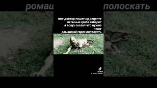 доброутнриЯ :) не возможно всё везде срепостить- подписывайтесь-🌍 наступит МИР! http://t.me/murzilka