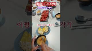 #여름아부탁해#공항#너희는방학나는개학#인디고#미꼬담맛집#shorts