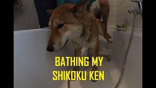 SHIKOKU KEN BATHING / SPA