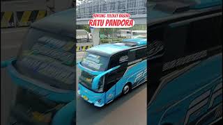 Telolet basuri Ratu pandora#basuri#telolet#busmania#bus