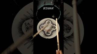 Flam Paradiddle - POV #drumrudiments #batterista #asmr