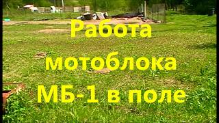 Работа мотоблока МБ-1 в поле