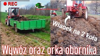 ✔Wywóz oraz orka obornika 2022🌱Władek na 2 kołach!!!