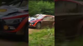 WRC Rally Estonia 2023 | Hyundai i20 Rally 1 | Big Jump | Flat Out 🚗 #youtubeshorts #rally