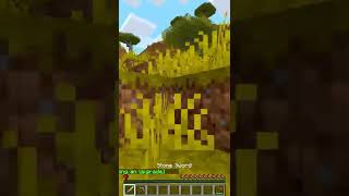 Minecraft mas  TENHO APENAS 1 CORAÇÃO!