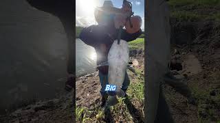 Does BIG Bait EQUAL Big FISH In A URBAN CREEK⁉️(FIND OUT)