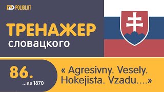 Тренажёр словацкого языка. Урок86.Agresívny. Vchod. Veselý. Hokejista. Vzadu.