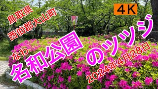 観光63.【名和公園のツツジ】鳥取県西伯郡大山町　2024年4月28日