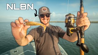 Catching Marsh Monsters with the GOLD NLBN 5" Swimbait!!