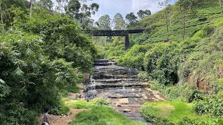 Nanu Oya Waterfalls, Sri Lanka #srilanka #waterfall #nanuoya