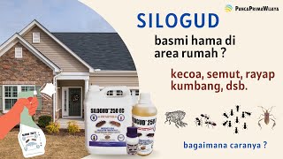 Terampuh obat basmi kecoa di area lingkungan rumah tanpa perlu kejar-kejaran || kumbang, rayap, dll