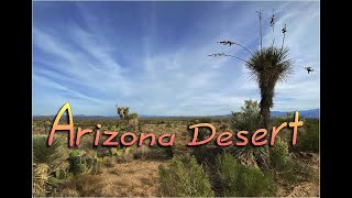 Arizona Desert (Drone)