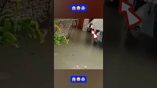 Wow! This great cat is not afraid of flood water🫡