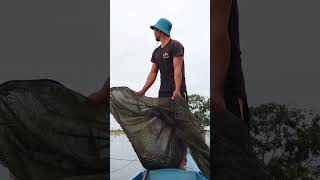 Amazing Traditional Net Fishing.  #shorts #fishing #dailyvlog #fishingwithnet #fish #netfishing