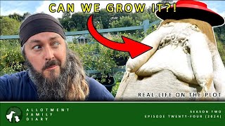 Growing Veg That Inspired Studio Ghibli | Allotment Vlog 🥬 Ep. 24 🍣