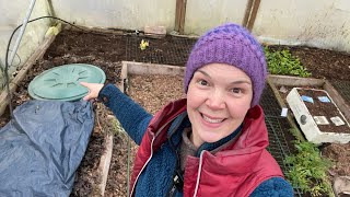 The clamp - How I store root vegetables