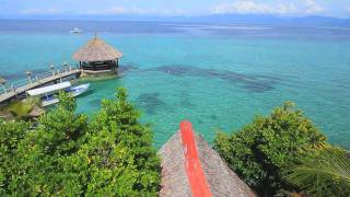 Dive Resort Dolphin House in Moalboal, Cebu