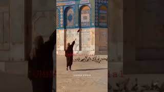 Masjid Al Aqsa Status #shorts #alaqsa #islamicvideos