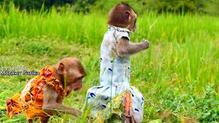 Very sweet baby Vy and Lele when eating Lotus fruit together really love