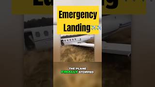 Terrifying Plane Emergency Landing: What Happened Next?