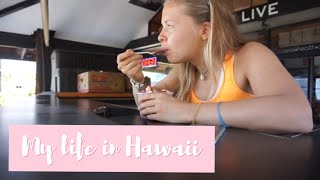 CAMPING AT THE BEACH IN HAWAII | Vlog