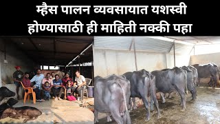 35 म्हशींचा गोठा | बघा कशाप्रकारे म्हैस पालन केलं पाहिजे🐃💪 | Murrah Buffalo Farming Maharashtra