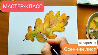 МАСТЕР-КЛАСС 🍁"Осенний лист акварелью"🎨