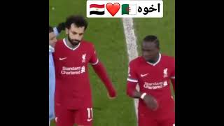 شاهد اخلاق محرز تجاه محمد صلاح ❤️🇪🇬🇩🇿