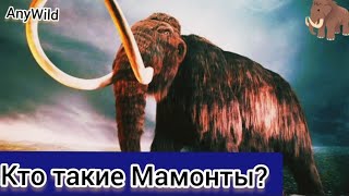 Кто такие Мамонты? Интересные и Малоизвестные факты про Мамонтов! AnyWild!