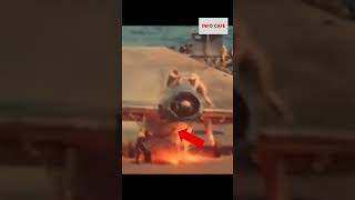 WWII Crewman's Quick Act: Dousing F6F Hellcat's Fire! #shorts