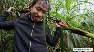 Beautiful Relaxing Music 🍵 Go to the forest to choose bamboo shoots and choose banana flowers 🎬