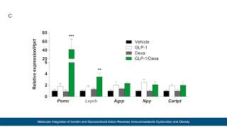 Figure360: Reversing obesity and immunometabolic dysfunction