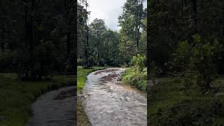 Sabarimala Peddapadam - River flowing through the way | Batasari travel tales | Telugu traveller