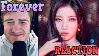 Forever - Babymonster | REACTION | Perfect Summer Song!