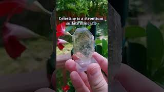 Is It Celestine or Celestite? #crystal #gems #minerals #specimens #science #mining #nature