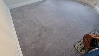 Carpet Cleaners Near Me, Plymouth,  Captain Rug Wash