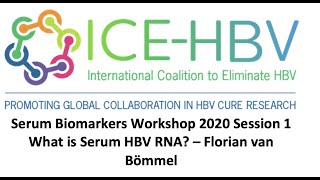 ICE-HBV Serum Biomarkers Workshop - What is Serum HBV RNA?