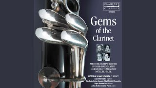 Clarinet Quintet in B-Flat Major, Op. 34, J. 182: III. Menuetto. Capriccio presto