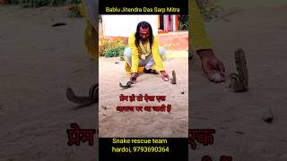 गुरुजी की एक आवाज पर गिलहरी दौड़ी चली आती है!!animalsvideo2024 #shortvideo #shorts#short