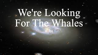 a-ha - We're Looking For The Whales (lyrics)