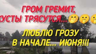 Гром гремит, кусты трясутся... Что там делают?🤫🤭. Люблю грозу в начале.. (только не мая а июня)!