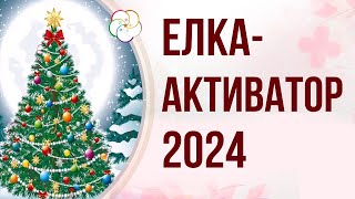 ЕЛКА 2024: Куда поставить новогоднюю елку для успеха в 2024 году