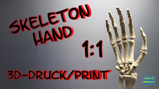 Skeletthand/Skeleton Hand - 1:1 - Resin 3D #resin #skeleton #lifesize