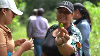 Copoazú: ingrediente natural amazónico que fortalece la economía de familias en Guaviare