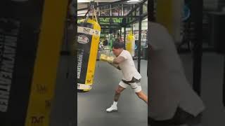 Gervonta Davis Heavybag Training #shorts