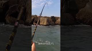 #fishing #florida #kayak #kayakfishing #jacksonville #sheepshead #sheepsheadfishing #jetties